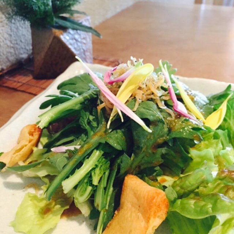 春菊と炙りお揚げのじゃこサラダ(あえん 丸井溝口店)