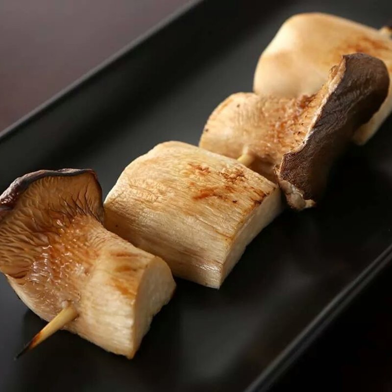 エリンギ(Firebird)