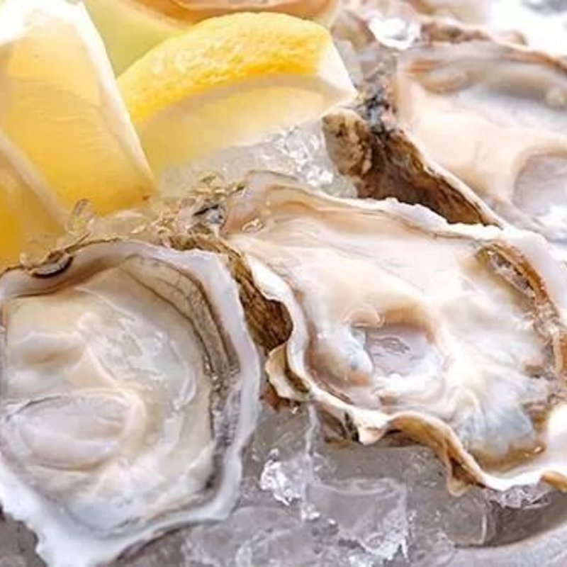 生ガキ(カツバル )