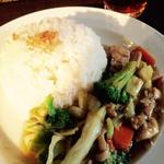 10食限定日替わりランチ(マレーシアボレ)