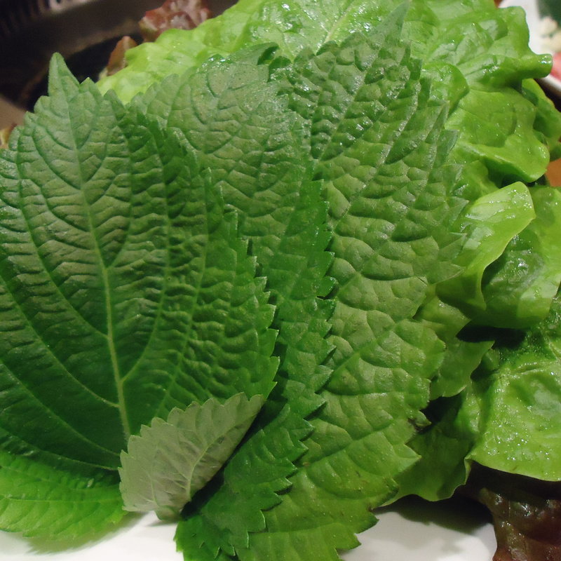 包み野菜盛り合わせ(焼肉 大仙 西院店 )