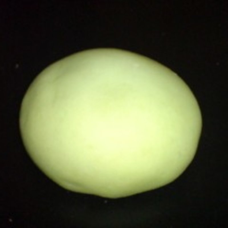 クリーミーメロンパン(新宿高野本店 タカノフルーツパーラー)