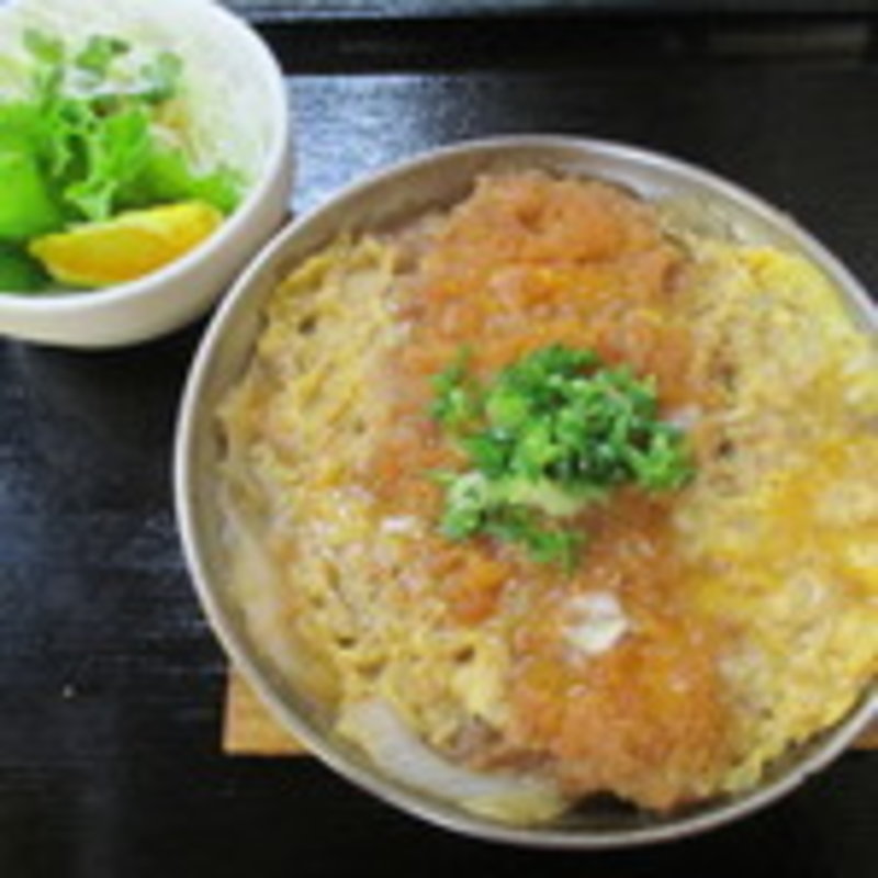 かつトジ(朝昼晩)