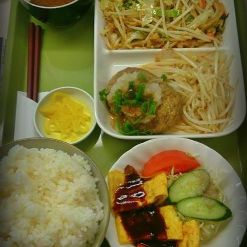 おろしハンバーグ(ぺぱあらんどトマト )