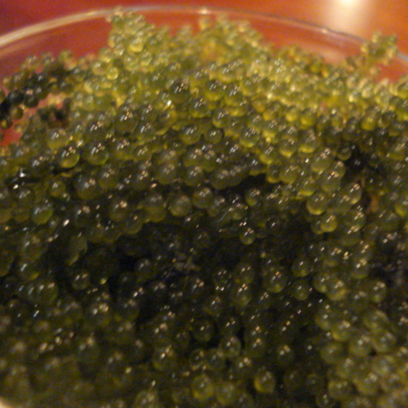 海ぶどう（大）(レストラン オキナワ （OKINAWA）)