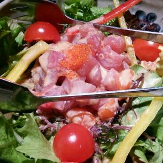 鮮魚と海草のサラダ(凛火 新宿店 )