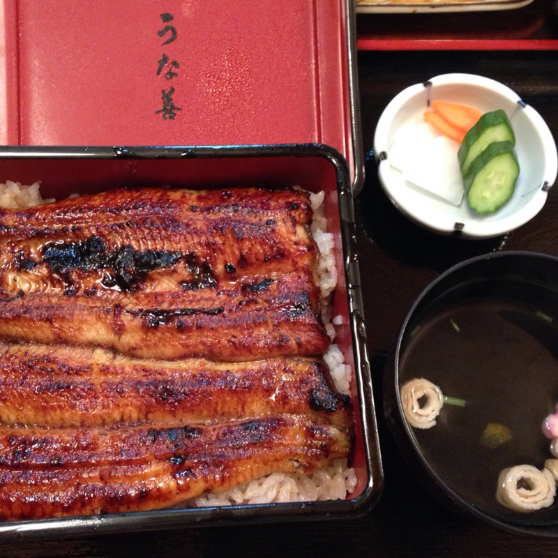 うな重 中(うな善 )