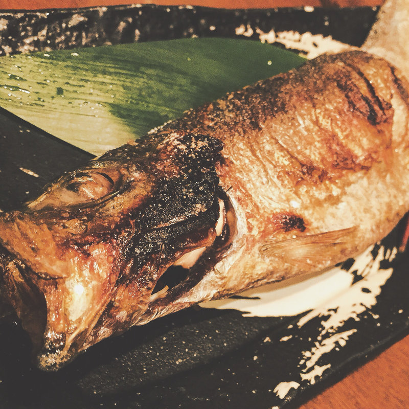 鯥(二代目 魚々子(ななこ))