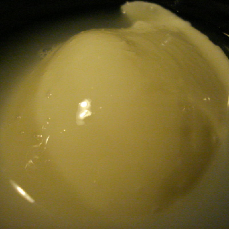 杏仁豆腐(虎丸)