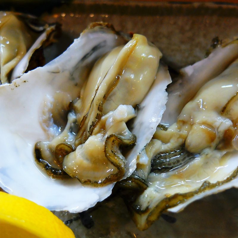 生ガキ(楽庵 （らくあん）)