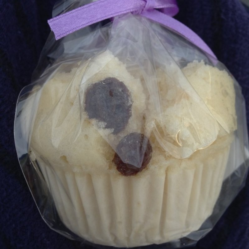 ブルーベリー(ミスタームシパン)