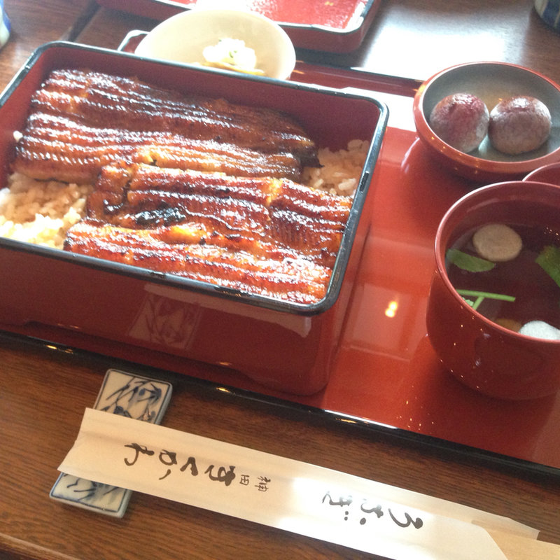 うな重(神田きくかわ 神田店 （かんだきくかわ）)