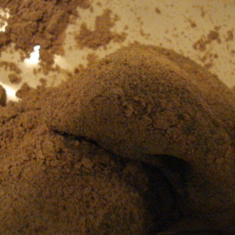 麦田もち(鎌倉菓子 鎌倉五郎本店)