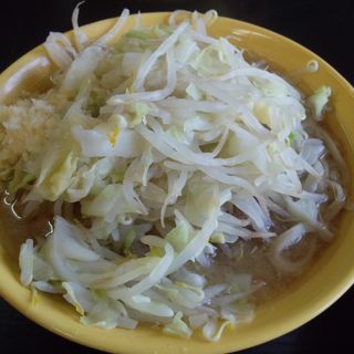 小ラーメン 麺少なめ・ニンニク (ラーメン二郎 茨城守谷店 )