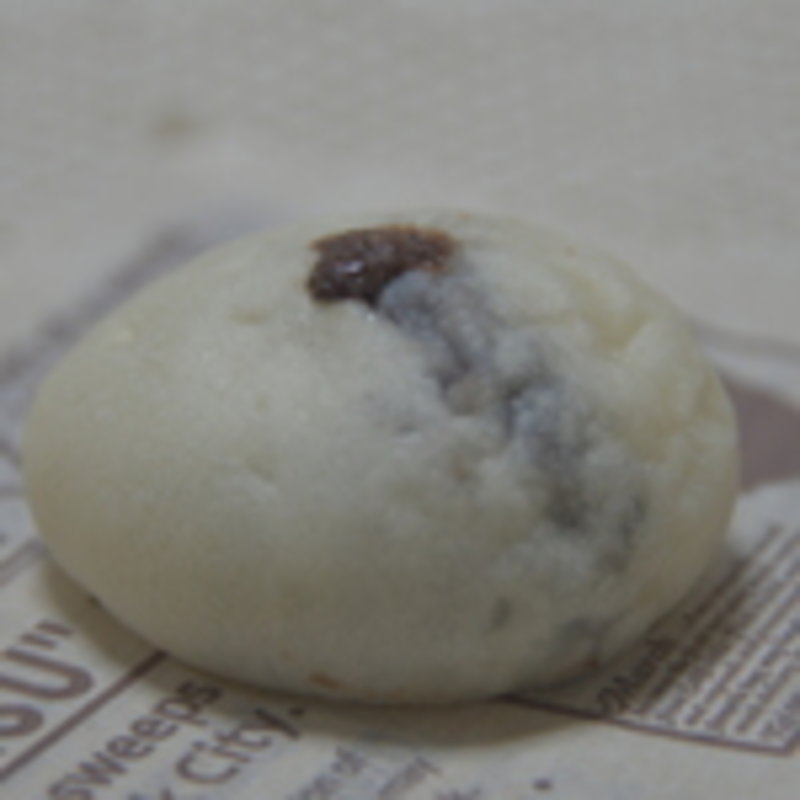 チョコパン(ココロ （Cocoro）)