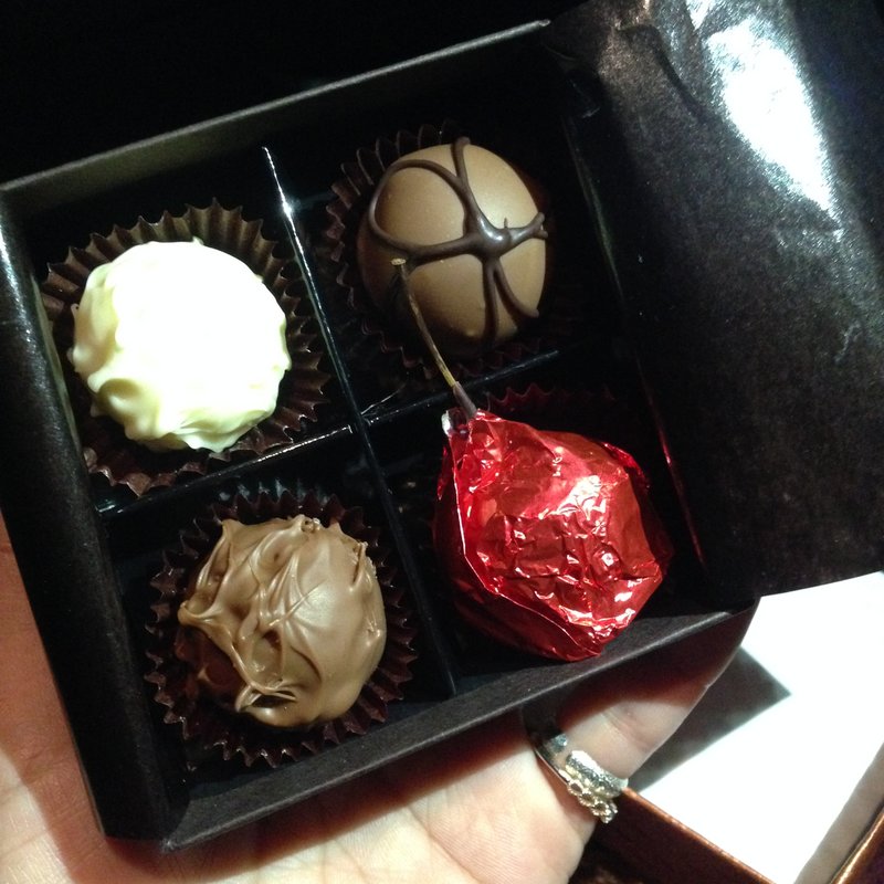 プラリネチョコレート 4個入り(ブルージュの丘)