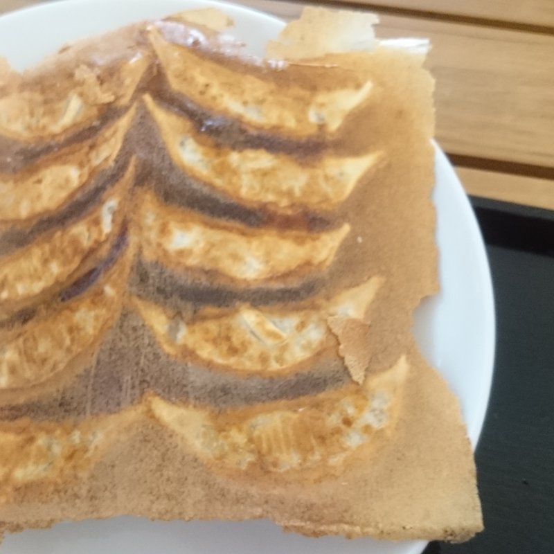 羽根つき餃子　10個(福龍 )