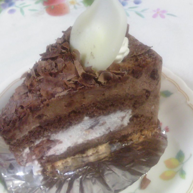 シュバルツヴェルダ(コンフィセリーラパート)