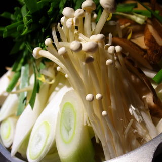 鍋野菜(かしわ )
