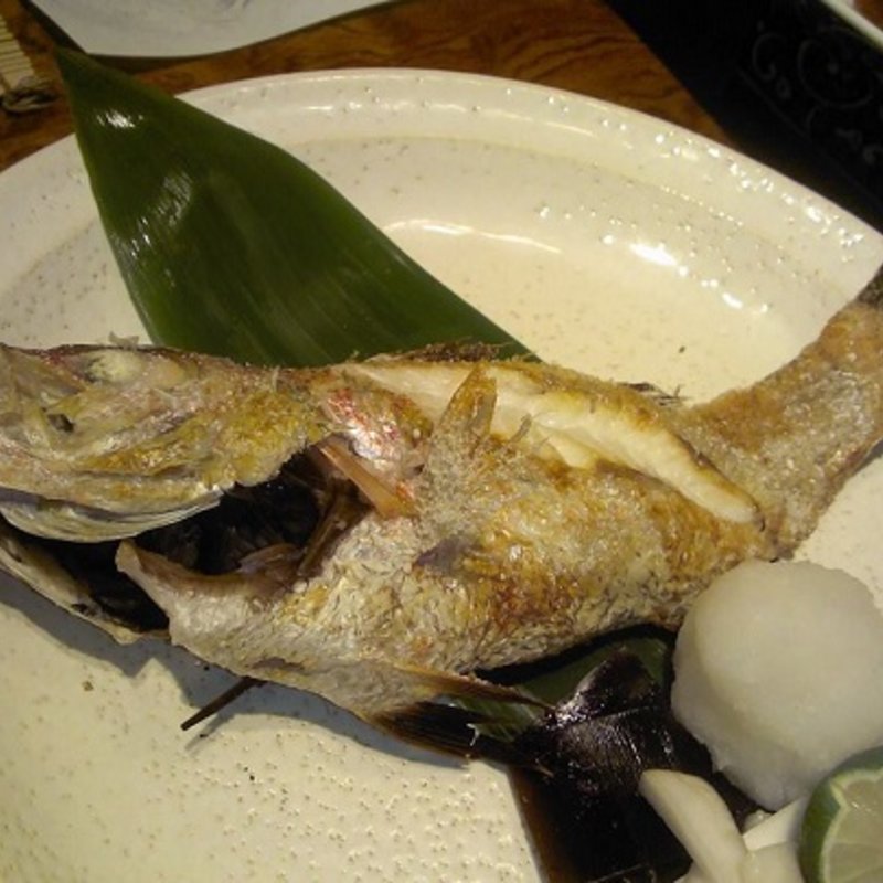 能登半島のどぐろの塩焼き(別亭 神田新八)