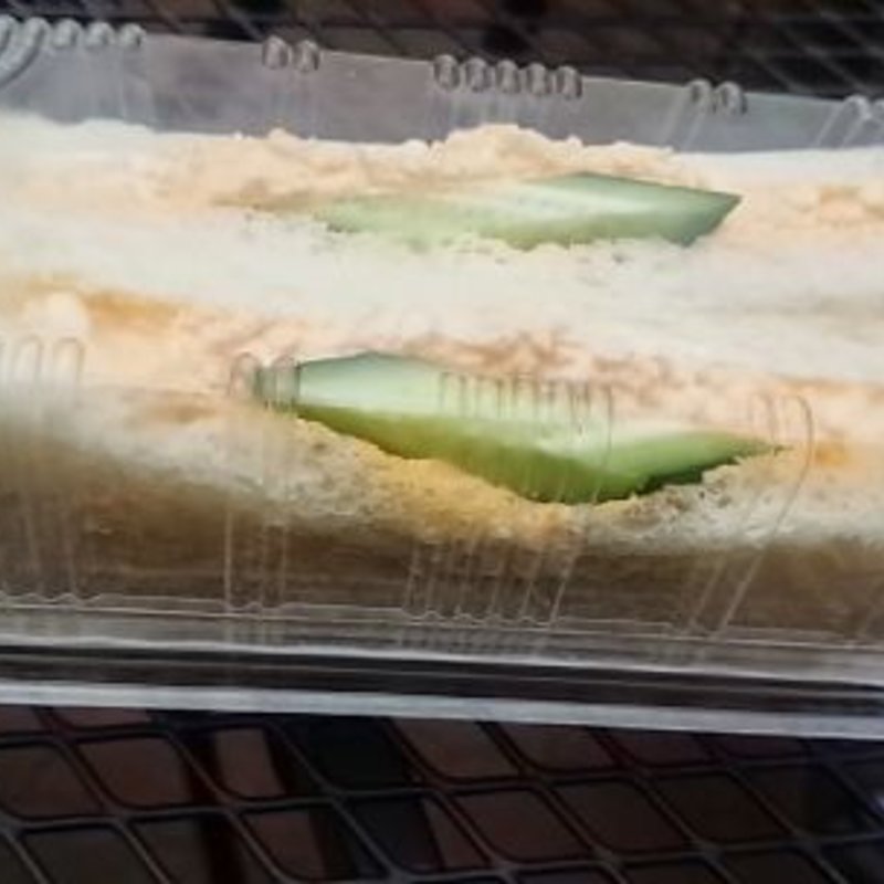 たまごサンド(マイピア )