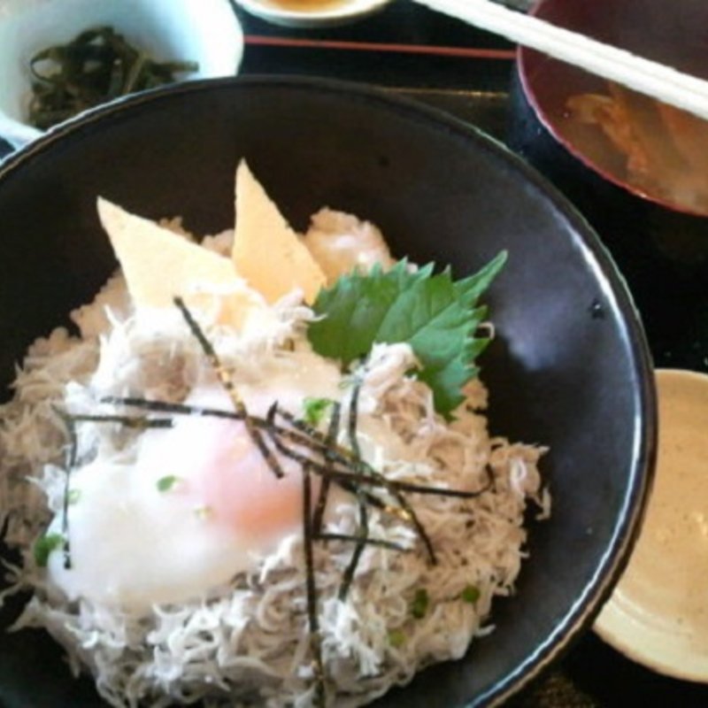 釜揚げ しらす丼(海鮮どんぶり亭 )