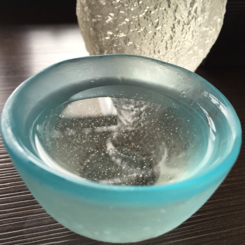 美しい鴨川(眺河　先斗町～華～ （ナガメガワ　ポントチョウ　～ハナ～）)