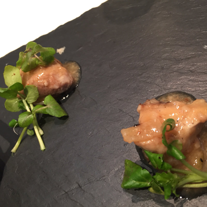 有田鶏のラグー(Restaurant AIDA 恵比寿)