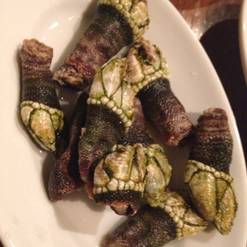 亀の手塩茹で(プリメロ)