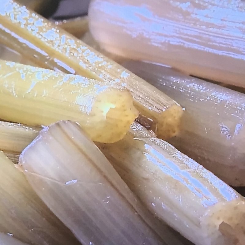 フキの煮物(平八)