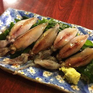 ホタルイカ刺(魚蔵居)