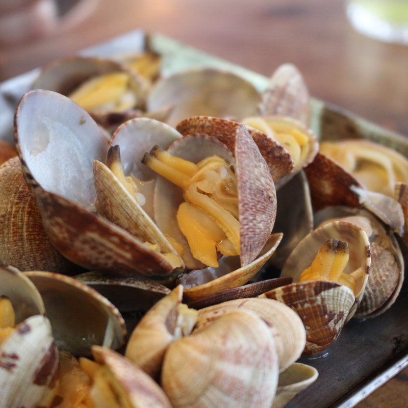 あさり焼き(富田屋 )