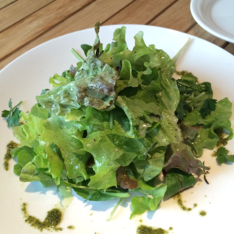 グリーンサラダ(madre & co, （マドレ）)