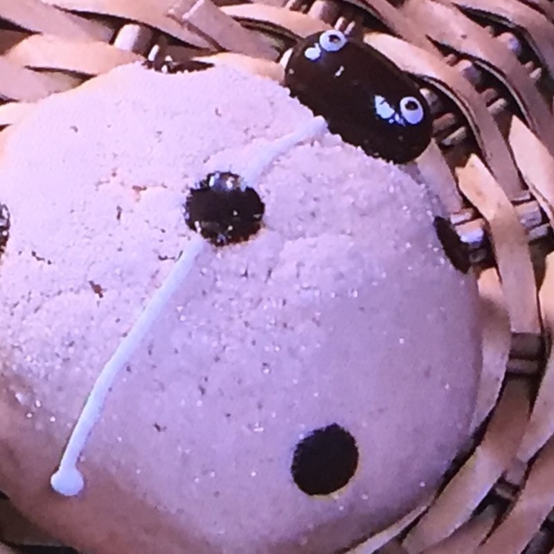 てんとう虫くん(ファミリーベーカリーぱんだ)