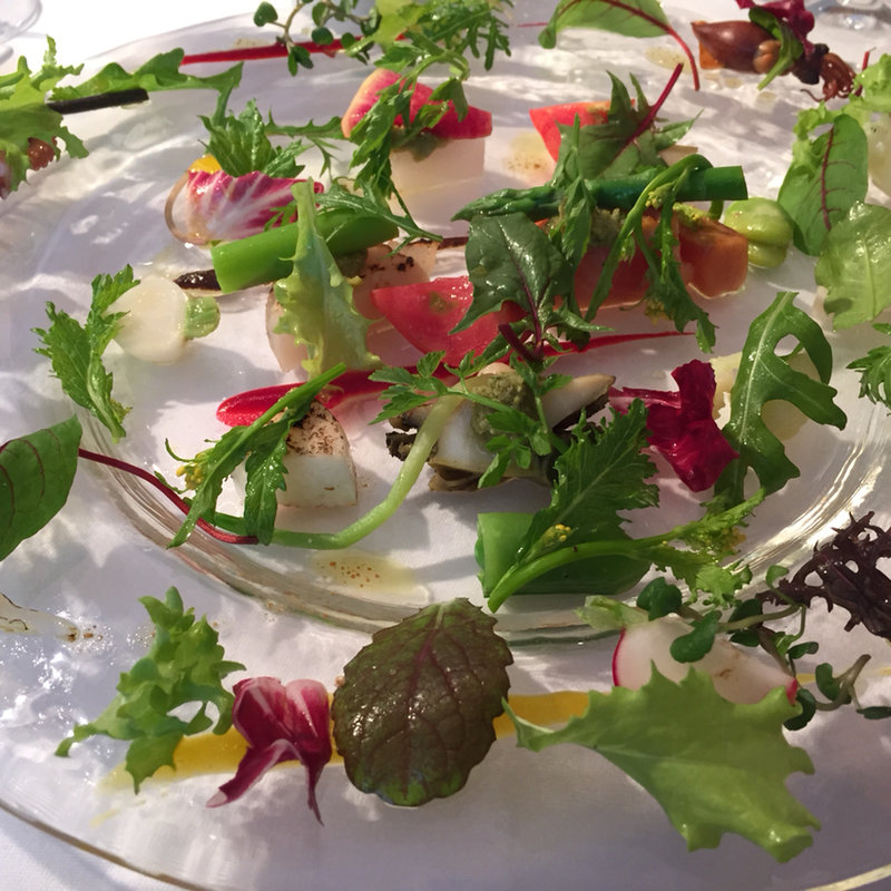 春の野菜畑達(御影ジュエンヌ)