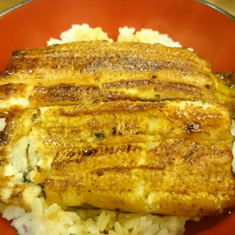 うなぎ丼(町田双葉)