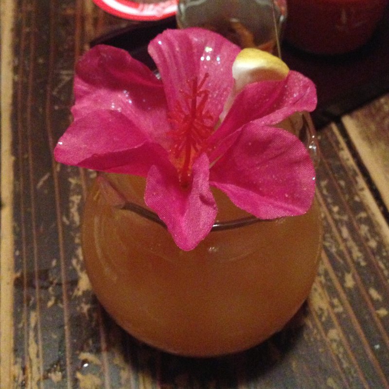 トロピカルファジーネーブル(金魚 本店 （きんぎょ）)