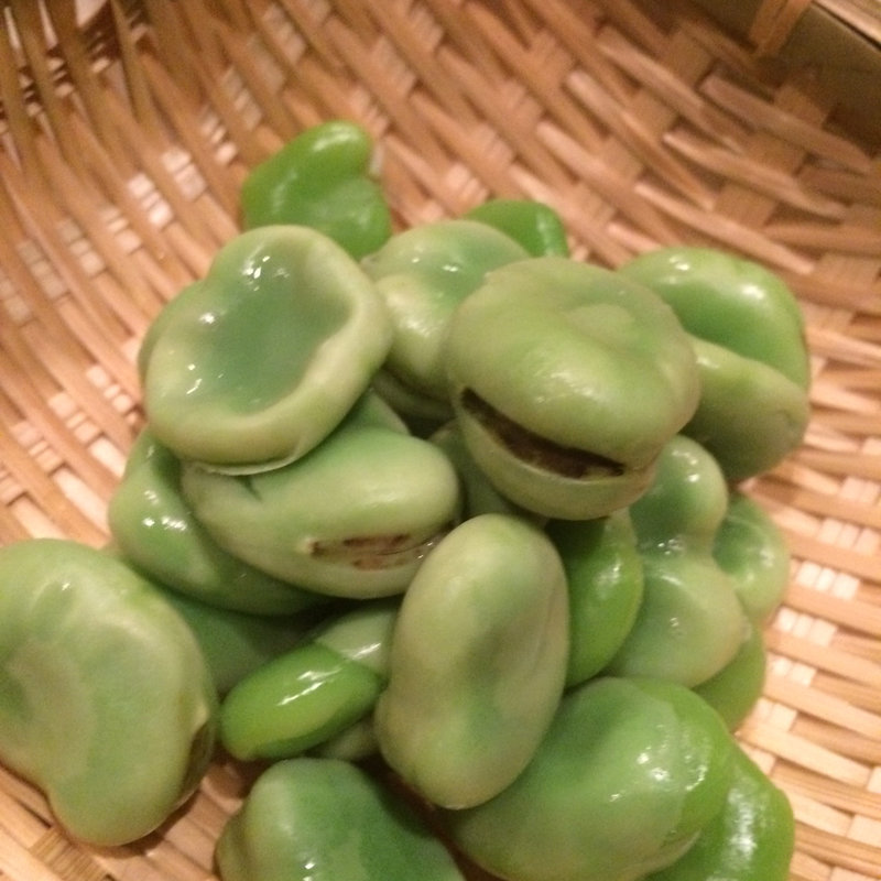 そら豆(ちこや )