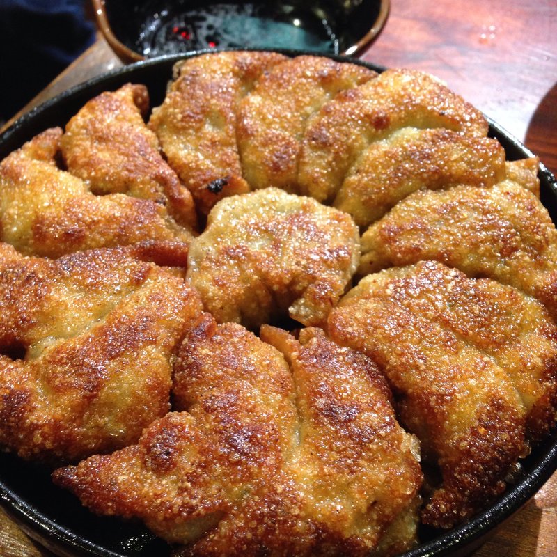 博多一口鉄板餃子(九州熱中屋 桂LIVE )