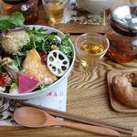 季節のガーデンサラダ ＋玄米ごはんor自家製ベーグル、五行茶セット(シンシア・ガーデン カフェ)