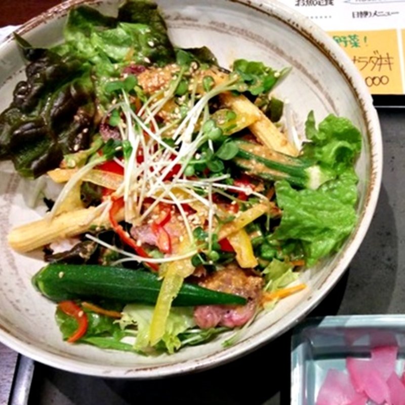 ステーキサラダ丼(DO.DON.PA)