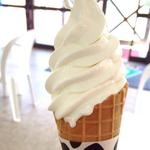 アイスを片手に神戸で散歩♪テイクアウトしたいアイスクリーム集めました