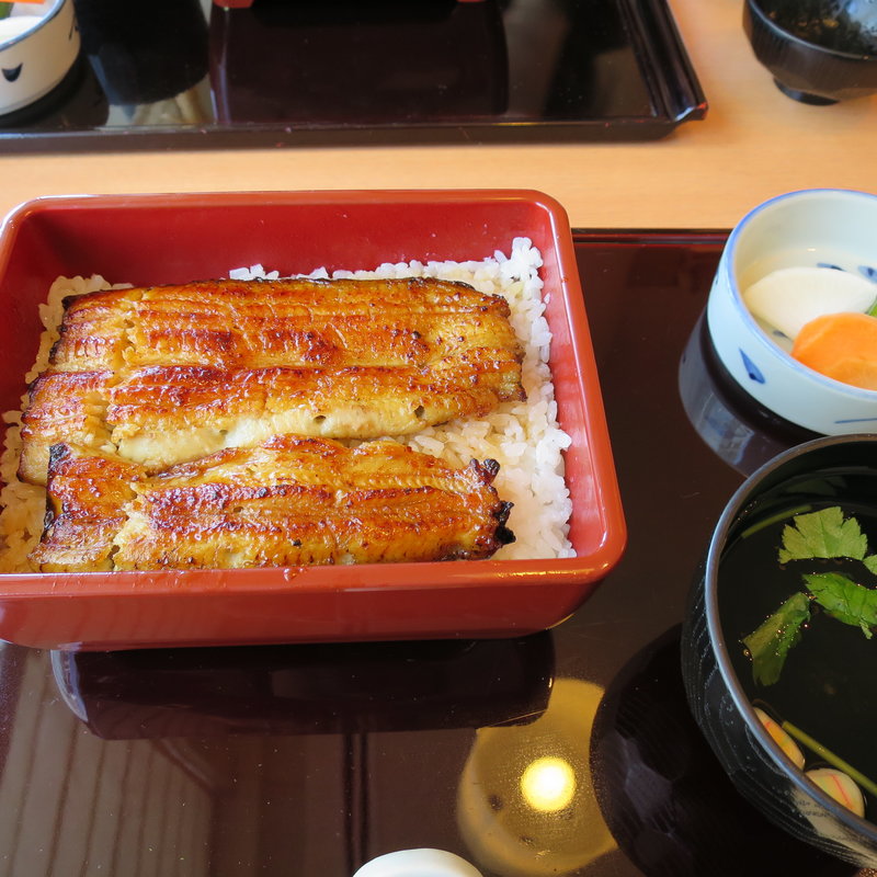 ランチうな重 