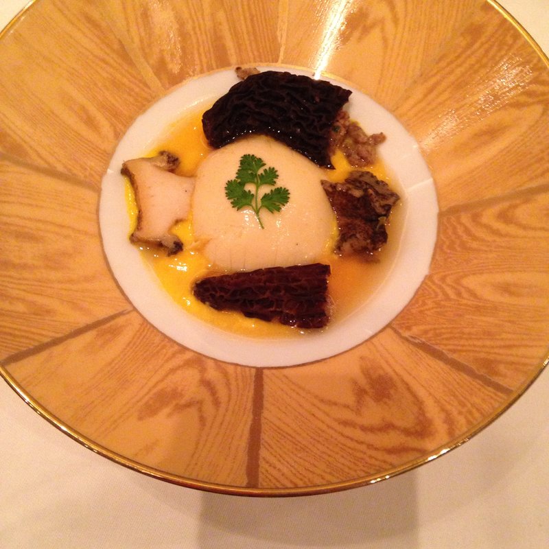 モリーユ茸のエチュベとフォアグラのクリーム 姫アワビ添え(モナリザ 丸の内店)