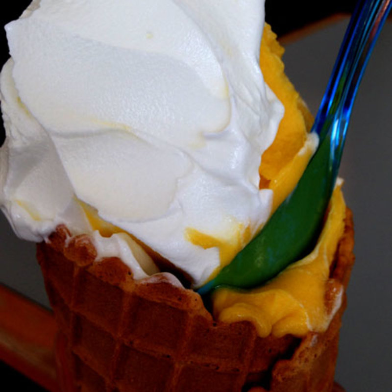 プレーンヨーゴリーノとマンゴーのジェラート(ヨゴリーノ 吉祥寺井の頭公園前店)