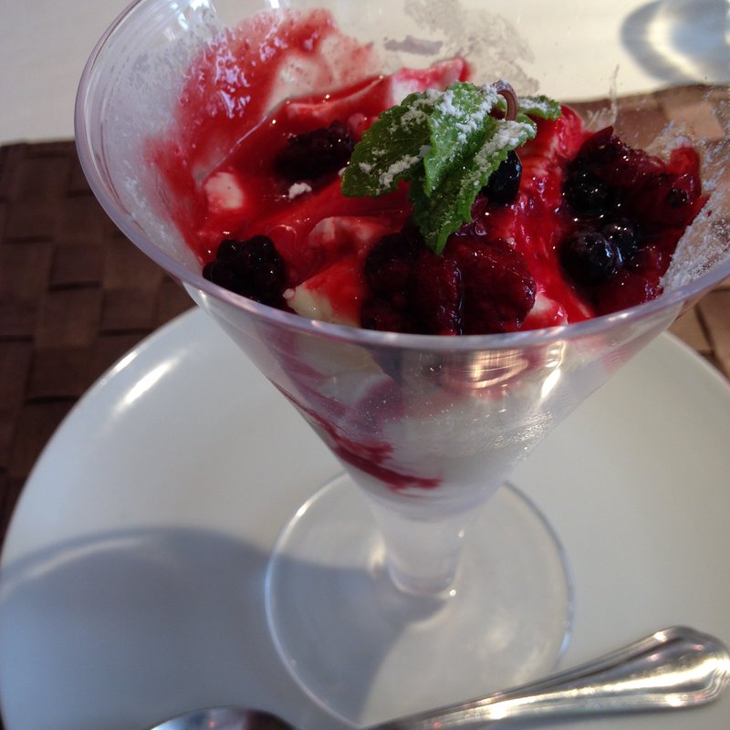 パンナコッタ(アルジャーノン （ALGERNON）)