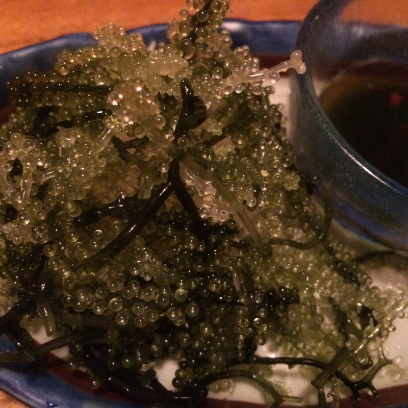 海ぶどう(ニライカナイ立川 ぱなり)