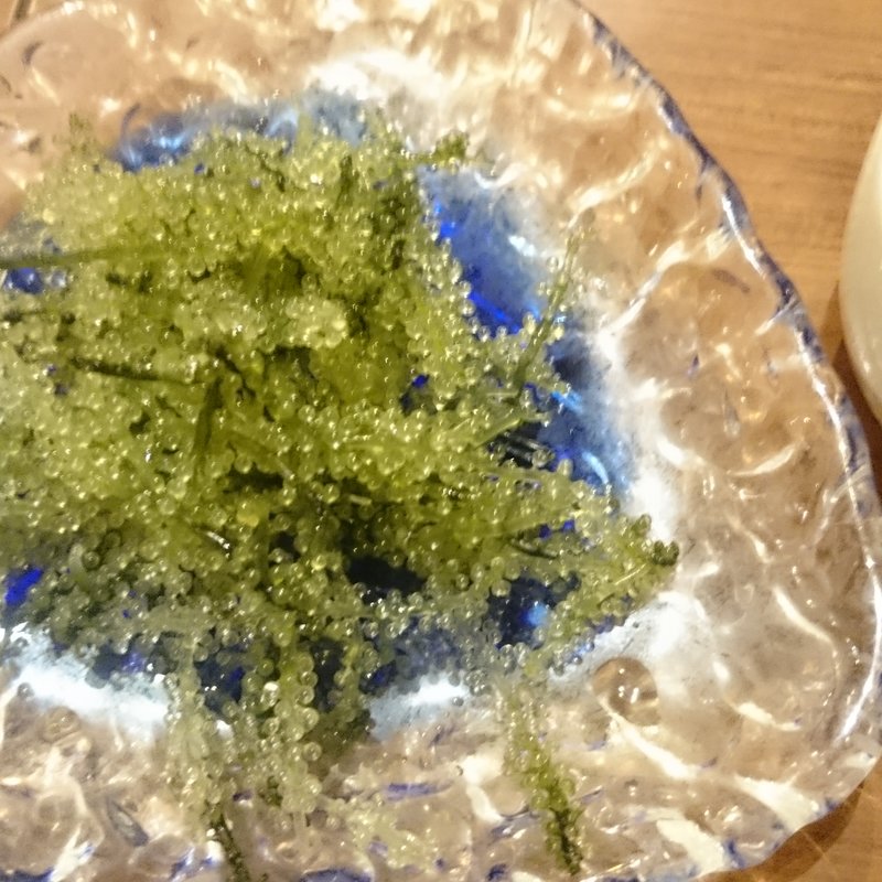 生海ぶどう(ちゅら屋 相鉄ジョイナス店)