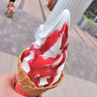 まきばのソフトクリーム(成田ゆめ牧場 酒々井プレミアム・アウトレット店 )