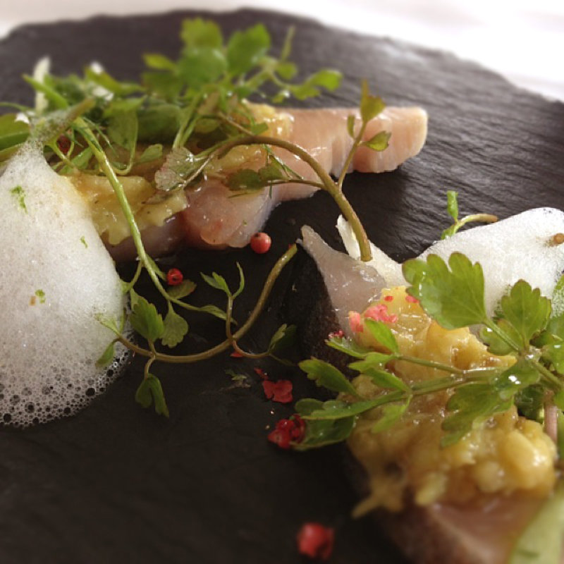 季節のおまかせコース(TACUBO)